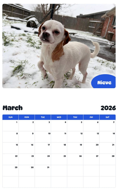 November 2025 - October 2026 Nieve - Pawidols Pet Calendar