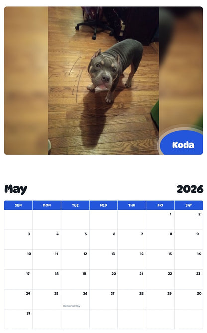 2026 - 2027 Koda - Pawidols Pet Calendar