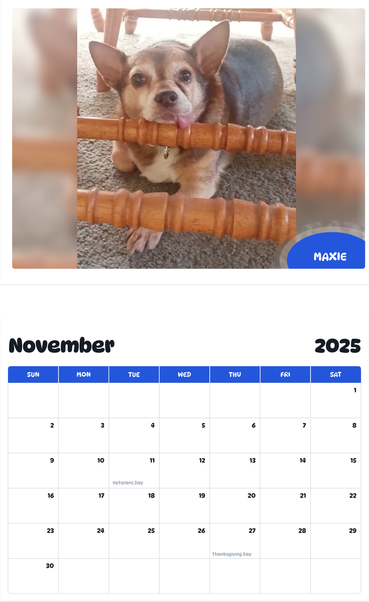 July 2025 - June 2026 Maxie - Pawidols Pet Calendar