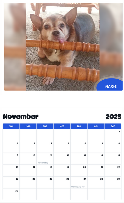 July 2025 - June 2026 Maxie - Pawidols Pet Calendar