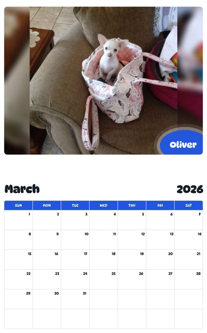 November 2025 - October 2026 Oliver - Pawidols Pet Calendar
