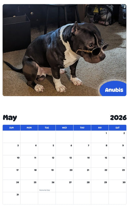 2026 - 2027 Anubis - Pawidols Pet Calendar