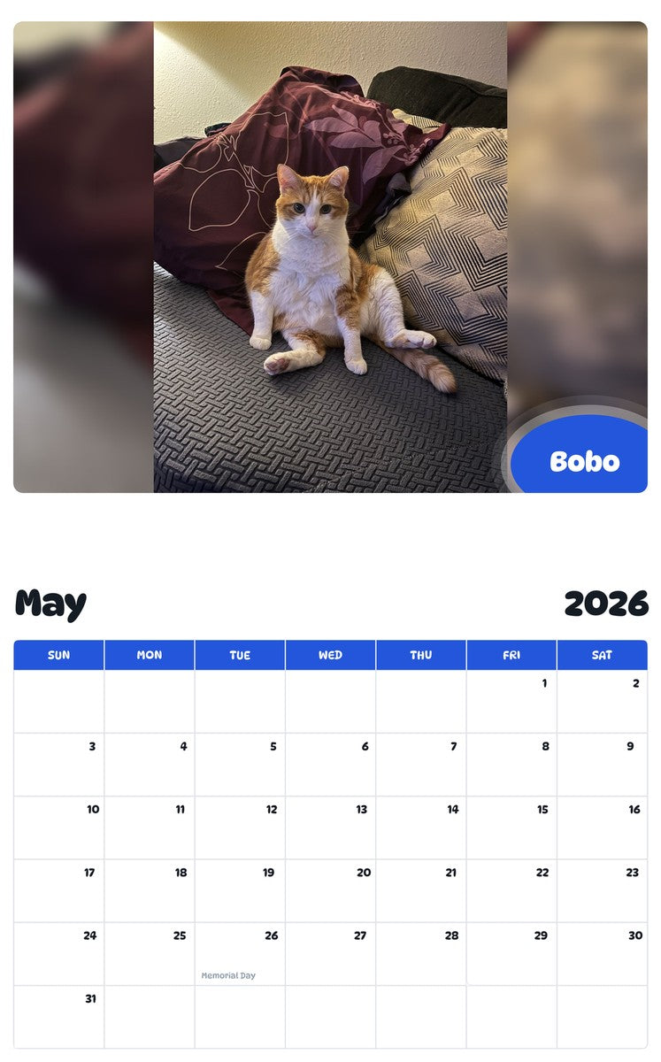 2026 - 2027 Bobo - Pawidols Pet Calendar