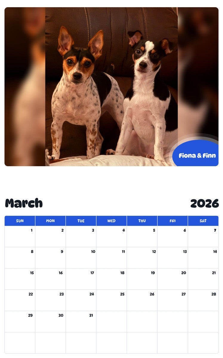 November 2025 - October 2026 Fiona & Finn - Pawidols Pet Calendar