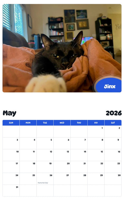 2026 - 2027 Jinx - Pawidols Pet Calendar