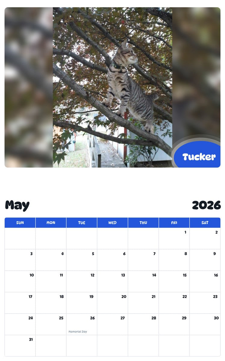 2026 - 2027 Tucker - Pawidols Pet Calendar