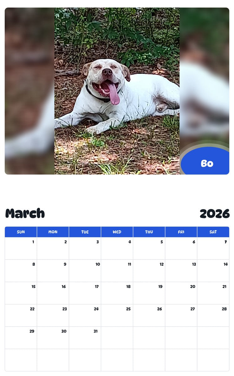 November 2025 - October 2026 Bo - Pawidols Pet Calendar