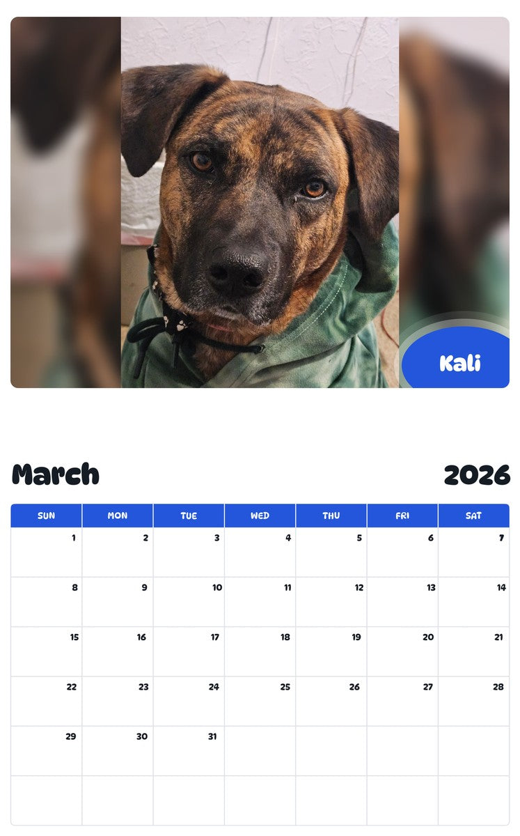 November 2025 - October 2026 Kali - Pawidols Pet Calendar