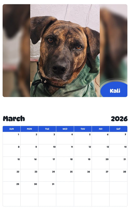 November 2025 - October 2026 Kali - Pawidols Pet Calendar