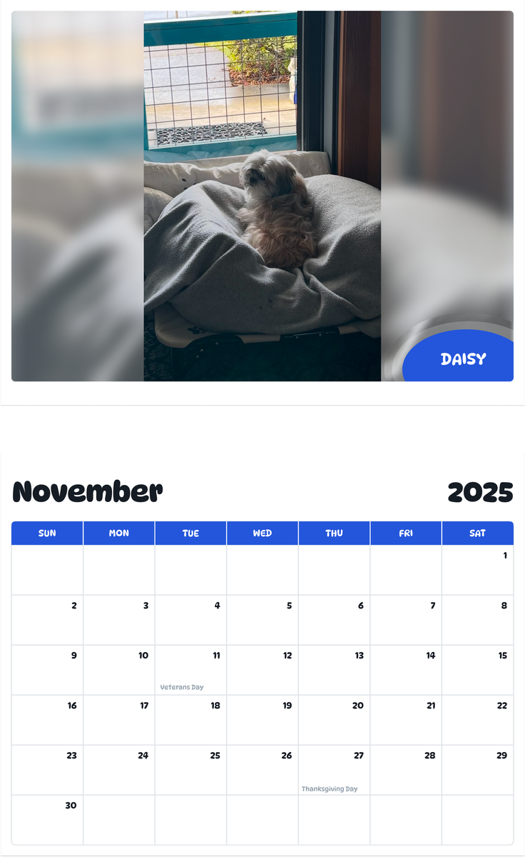 July 2025 - June 2026 Daisy - Pawidols Pet Calendar