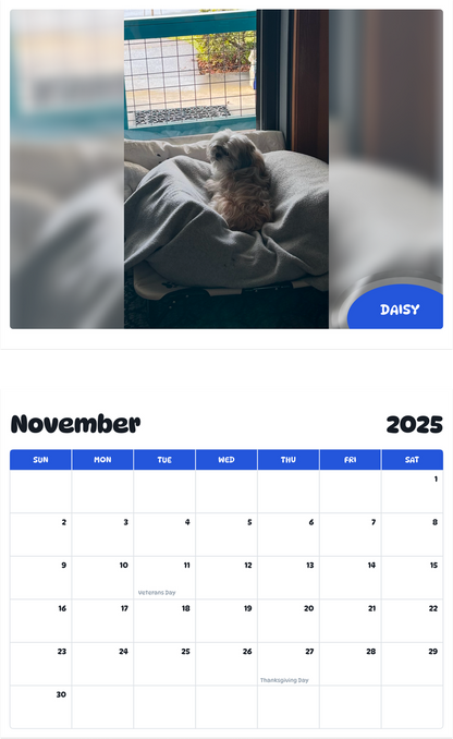 July 2025 - June 2026 Daisy - Pawidols Pet Calendar