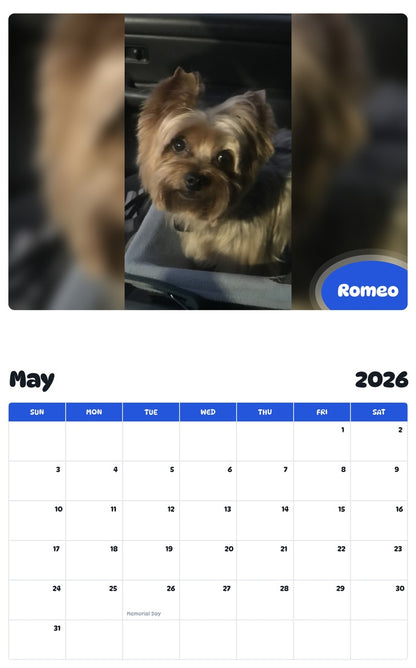 2026 - 2027 Romeo - Pawidols Pet Calendar