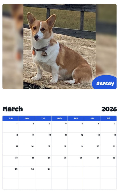 November 2025 - October 2026 Jersey - Pawidols Pet Calendar