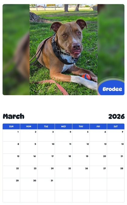 November 2025 - October 2026 Brodee - Pawidols Pet Calendar
