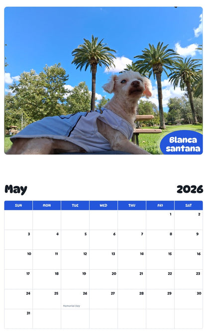 2026 - 2027 Blanca santana - Pawidols Pet Calendar