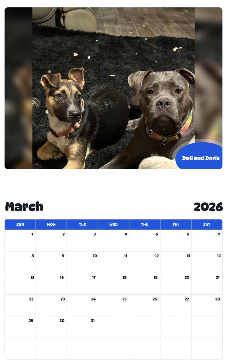 November 2025 - October 2026 Dali and Doris - Pawidols Pet Calendar