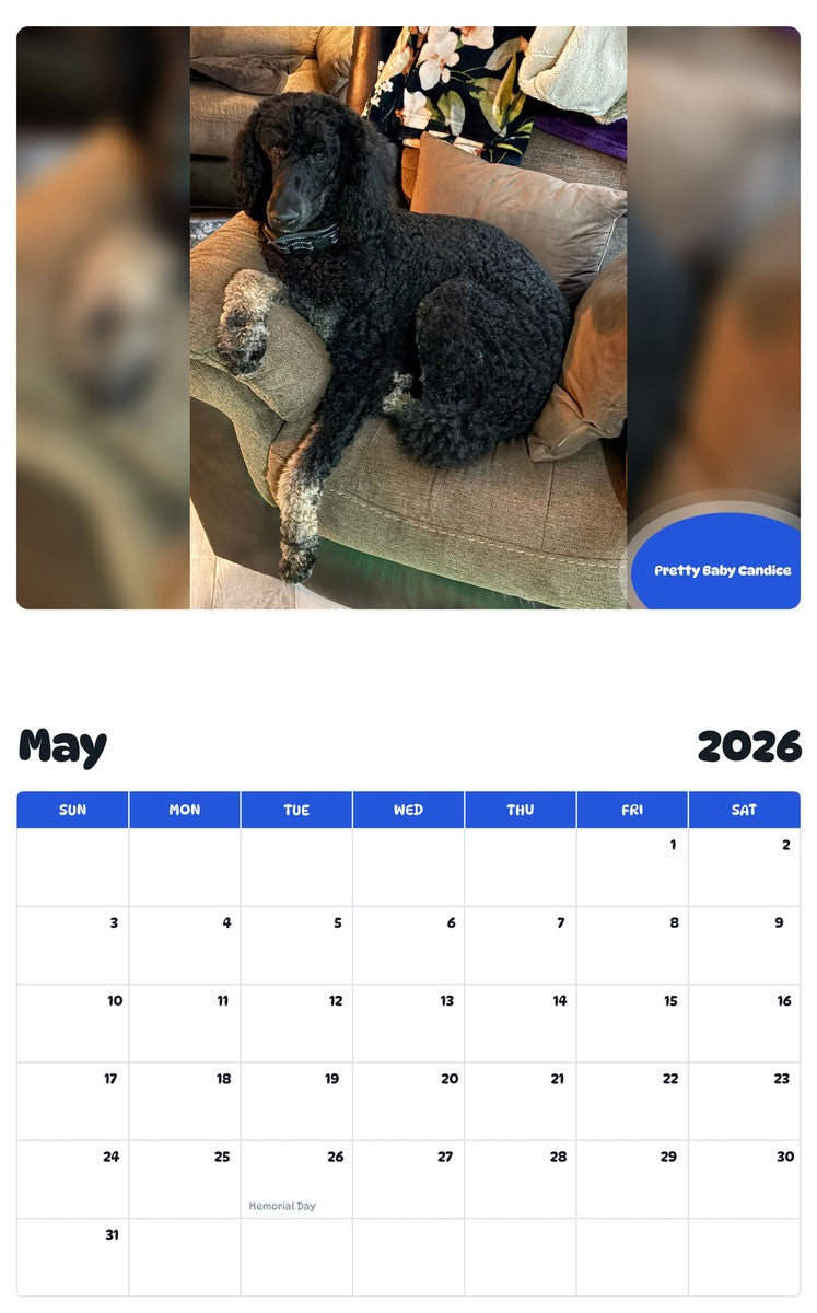 2026 - 2027 Pretty Baby Candice - Pawidols Pet Calendar