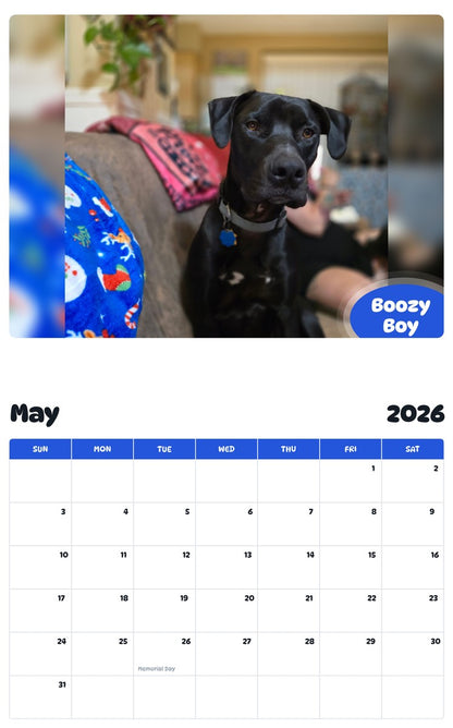 2026 - 2027 Boozy Boy - Pawidols Pet Calendar