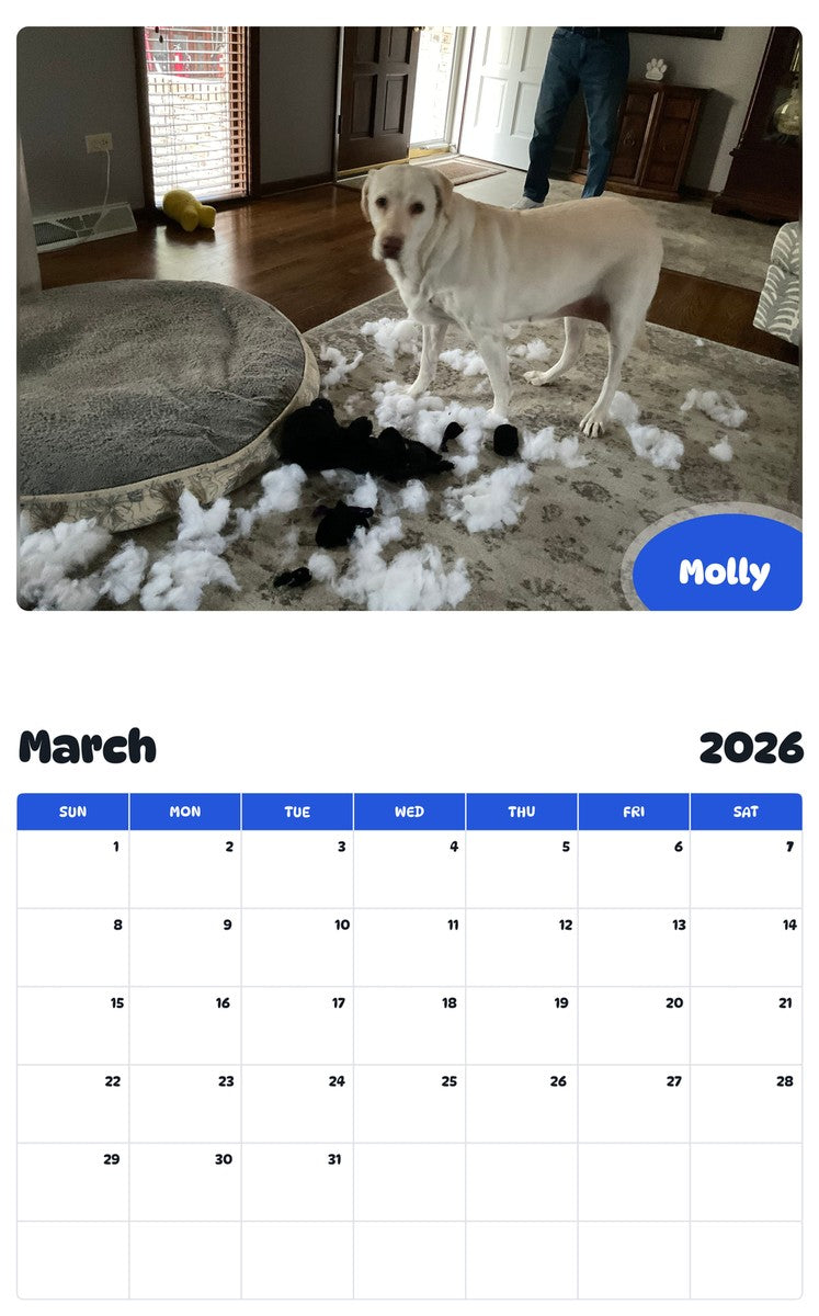 November 2025 - October 2026 Molly - Pawidols Pet Calendar