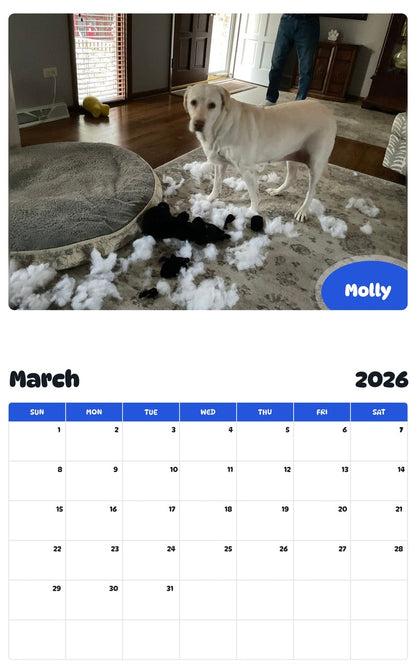November 2025 - October 2026 Molly - Pawidols Pet Calendar