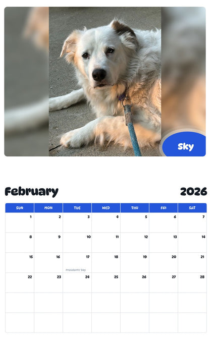 October 2025 - September 2026 Sky - Pawidols Pet Calendar