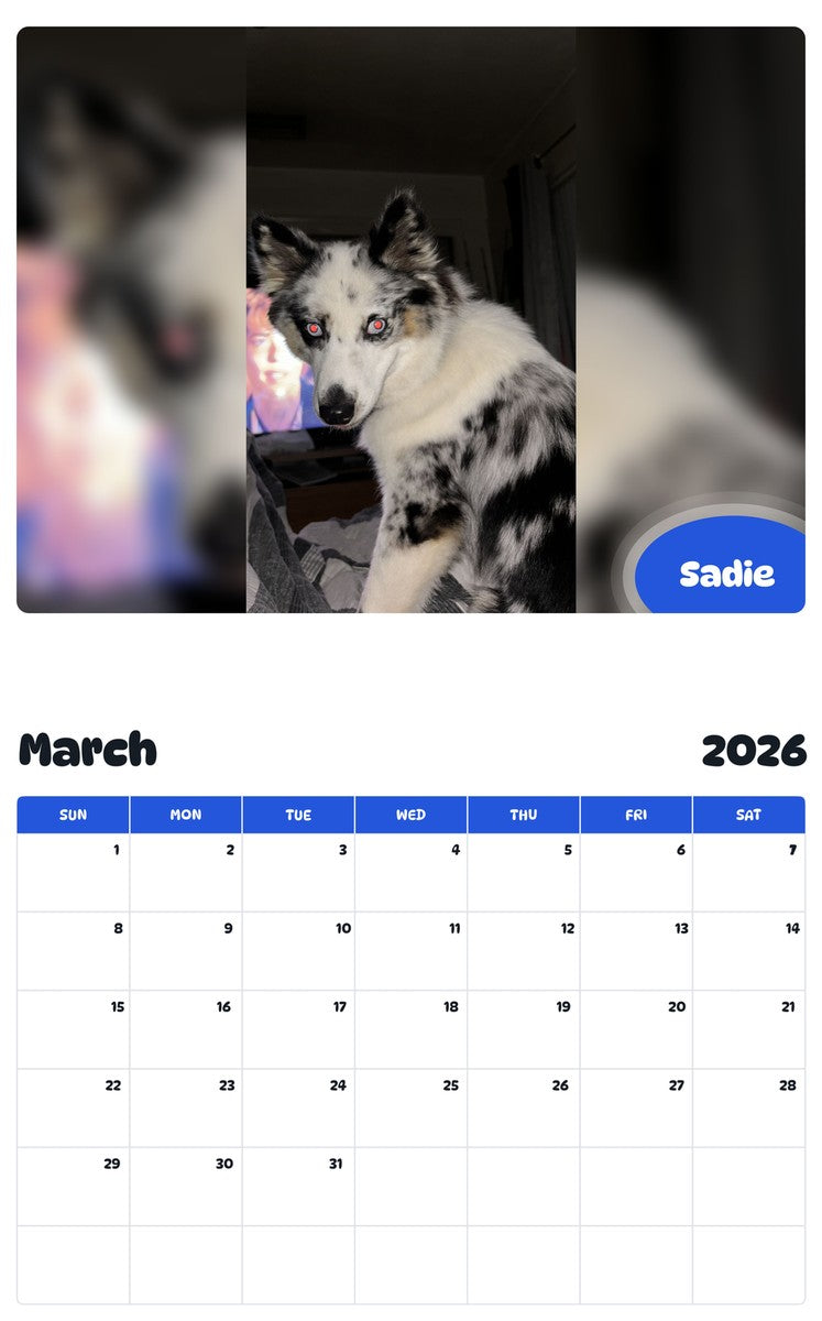 November 2025 - October 2026 Sadie - Pawidols Pet Calendar
