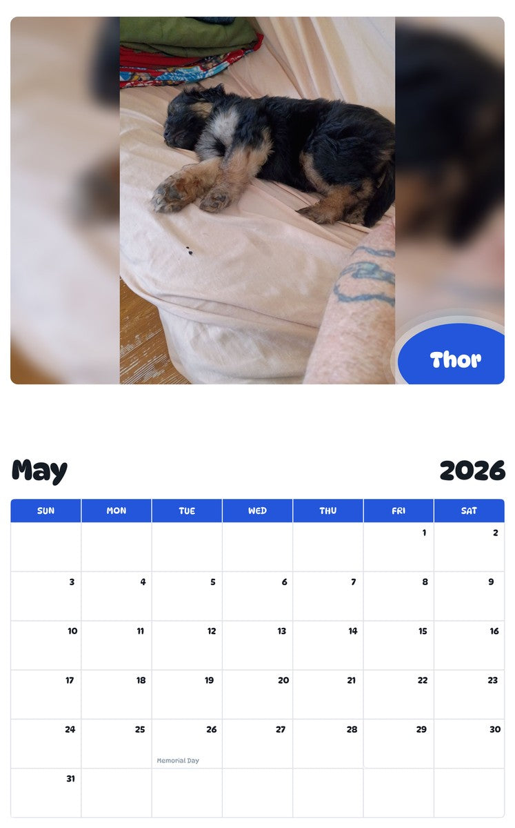 2026 - 2027 Thor - Pawidols Pet Calendar