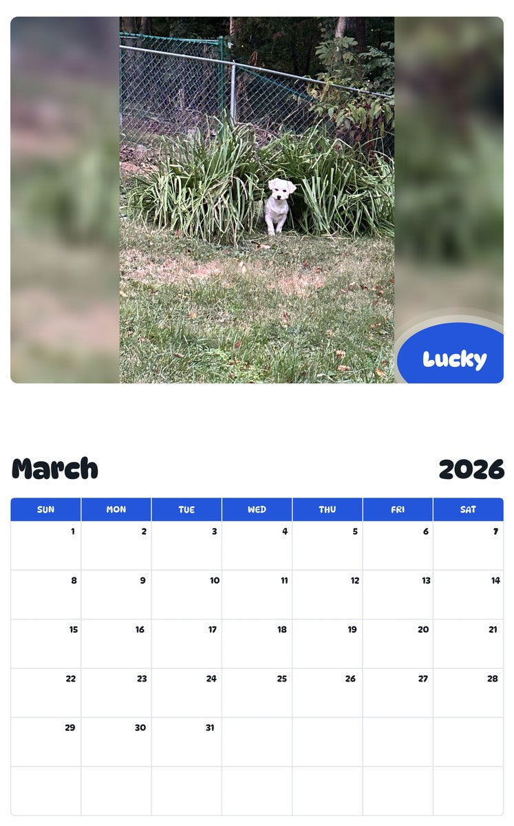 November 2025 - October 2026 Lucky - Pawidols Pet Calendar