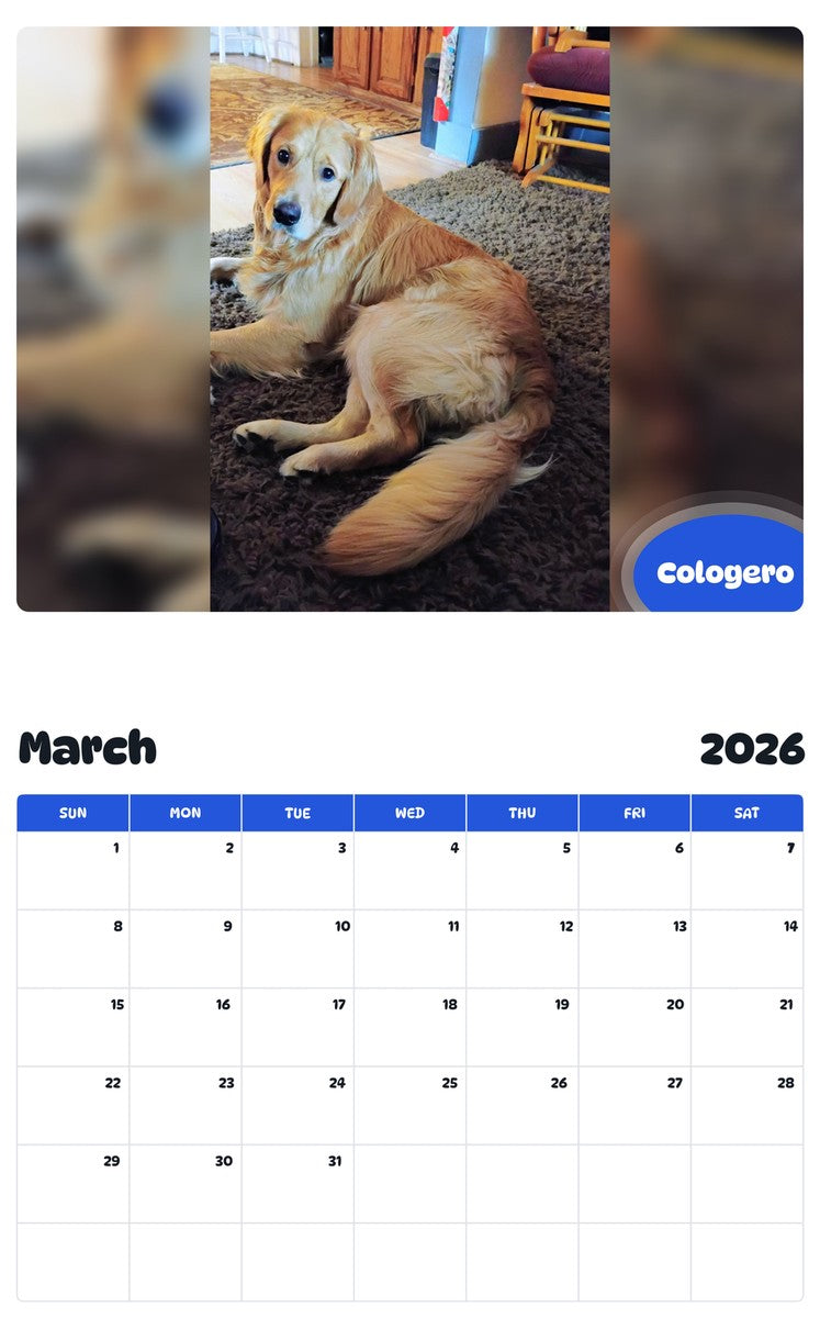 November 2025 - October 2026 Cologero - Pawidols Pet Calendar