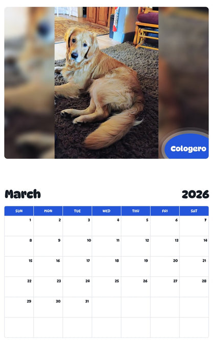 November 2025 - October 2026 Cologero - Pawidols Pet Calendar