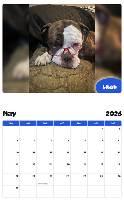 2026 - 2027 LiLah - Pawidols Pet Calendar