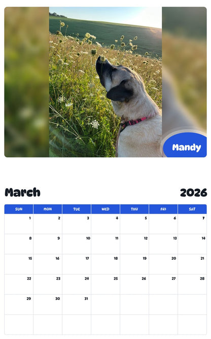 November 2025 - October 2026 Mandy - Pawidols Pet Calendar