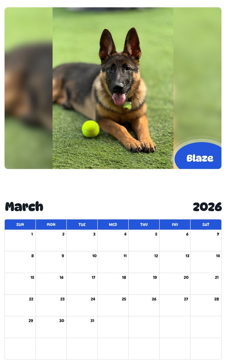 November 2025 - October 2026 Blaze - Pawidols Pet Calendar