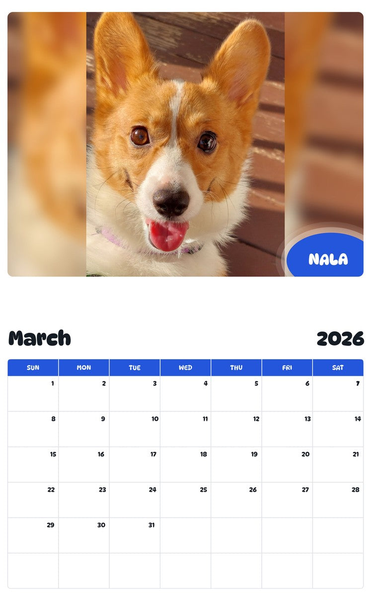 November 2025 - October 2026 NALA - Pawidols Pet Calendar