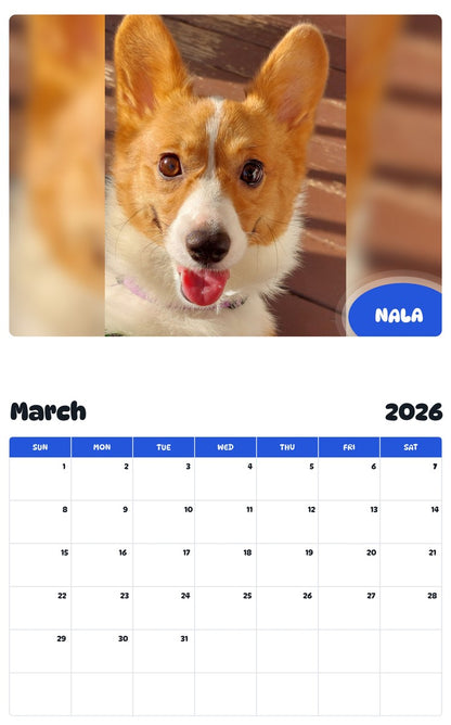 November 2025 - October 2026 NALA - Pawidols Pet Calendar