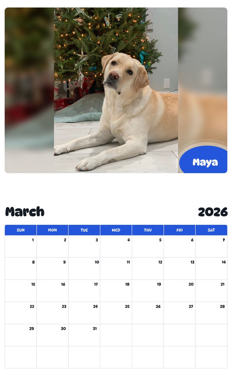 November 2025 - October 2026 Maya - Pawidols Pet Calendar