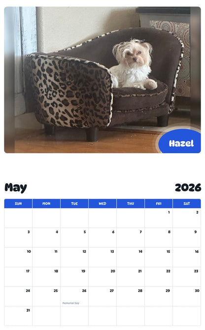 2026 - 2027 Hazel - Pawidols Pet Calendar