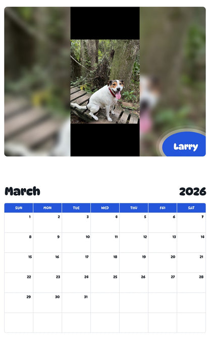November 2025 - October 2026 Larry - Pawidols Pet Calendar