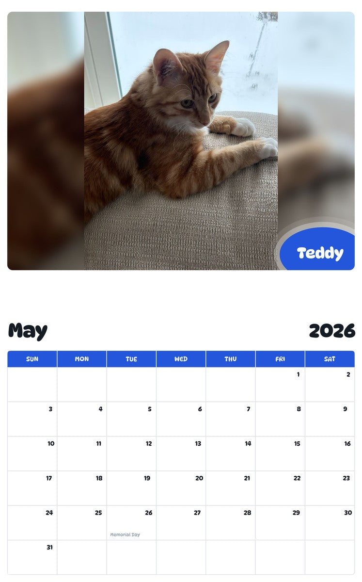 2026 - 2027 Teddy - Pawidols Pet Calendar