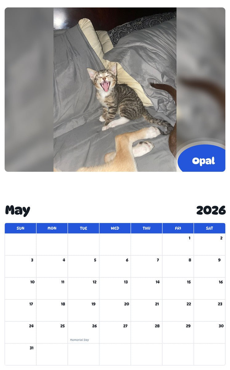2026 - 2027 Opal - Pawidols Pet Calendar