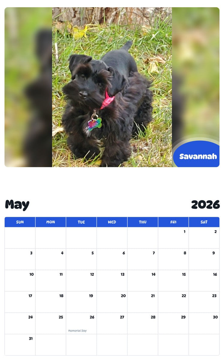 2026 - 2027 Savannah - Pawidols Pet Calendar