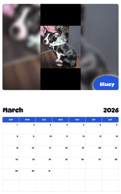 November 2025 - October 2026 Bluey - Pawidols Pet Calendar