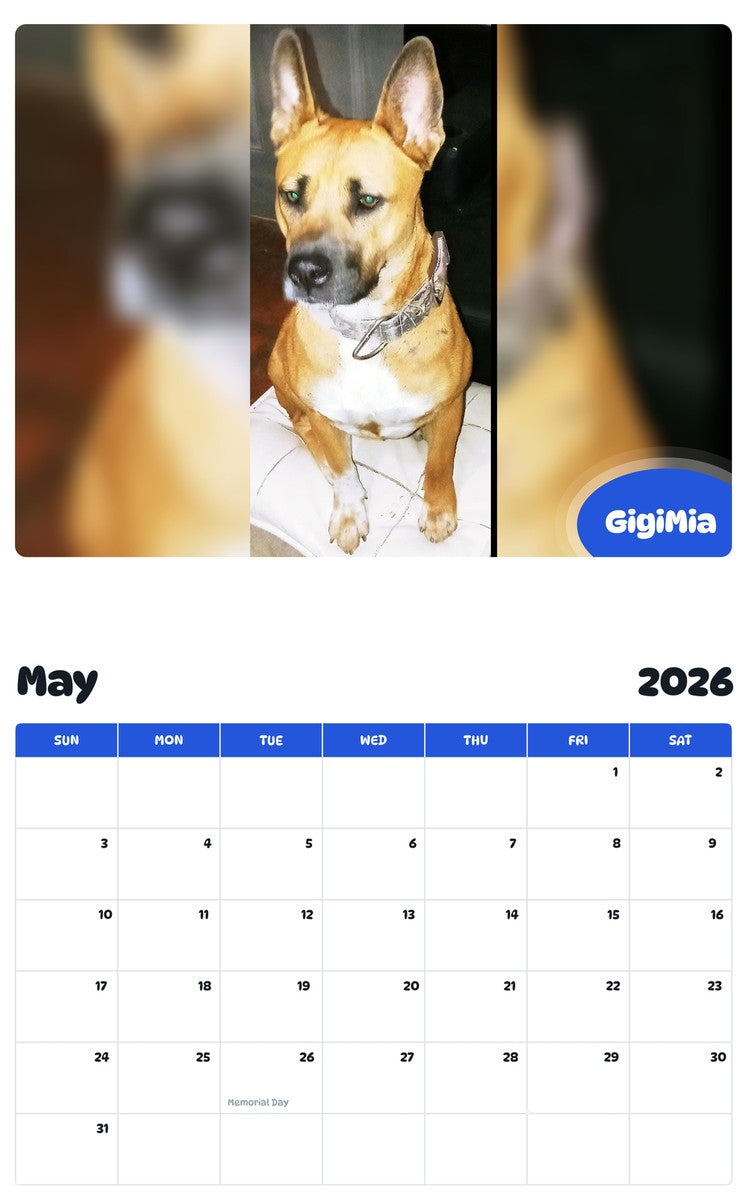 2026 - 2027 GigiMia - Pawidols Pet Calendar
