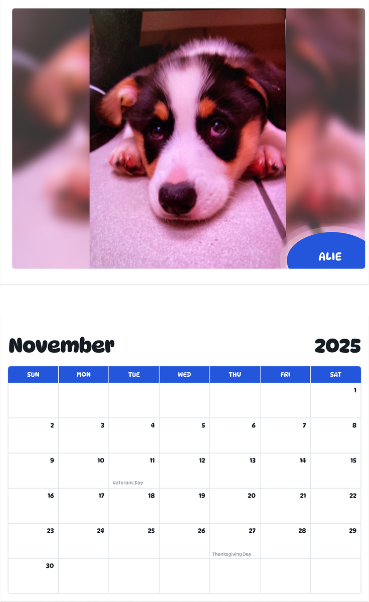 July 2025 - June 2026 Alie - Pawidols Pet Calendar