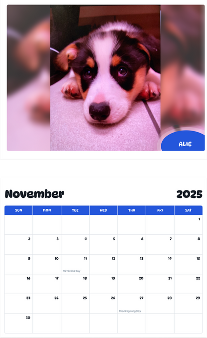 July 2025 - June 2026 Alie - Pawidols Pet Calendar