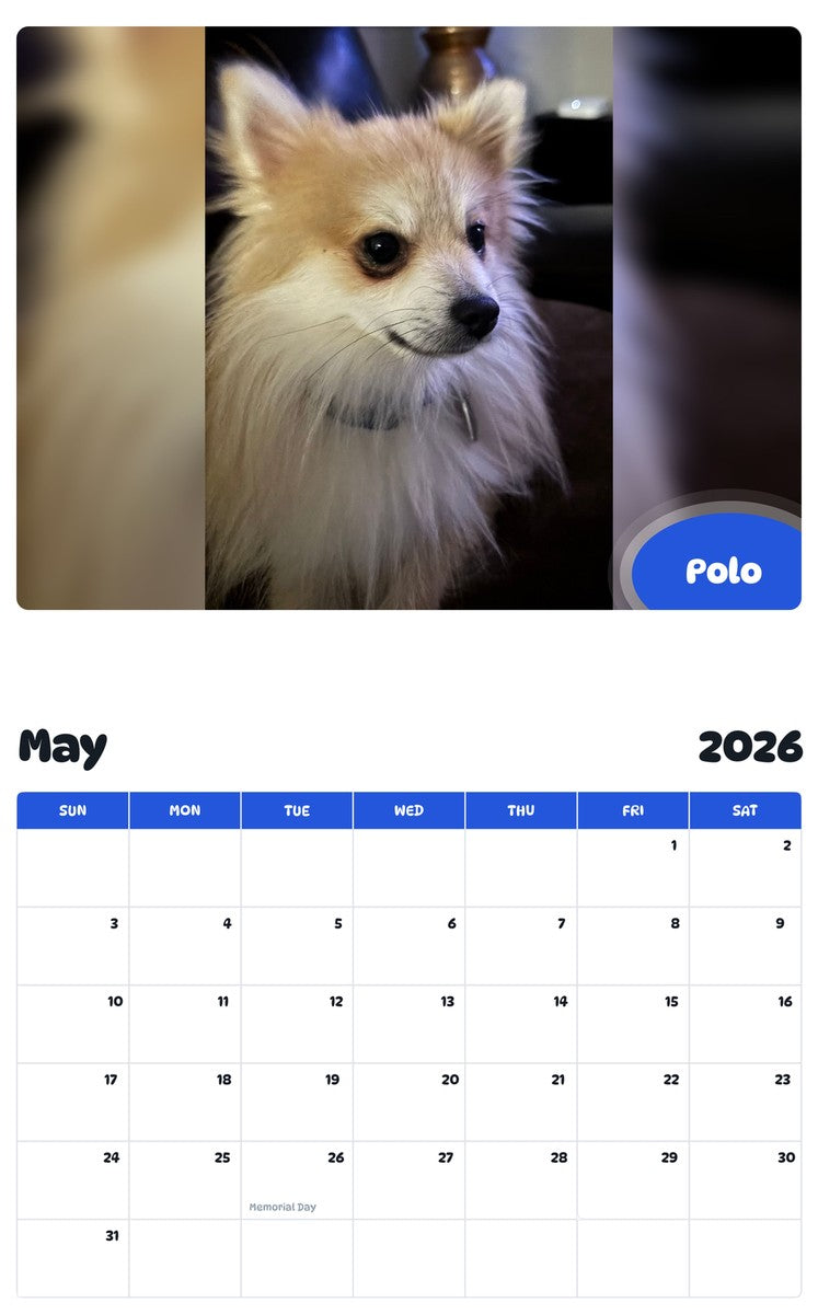 2026 - 2027 Polo - Pawidols Pet Calendar