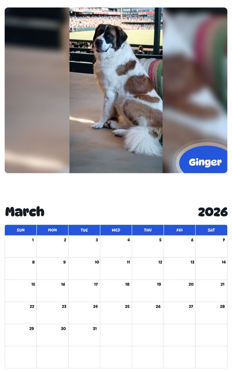 November 2025 - October 2026 Ginger - Pawidols Pet Calendar