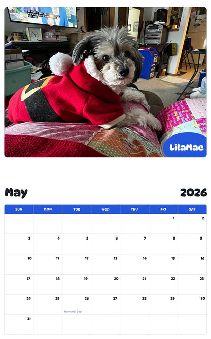 2026 - 2027 LilaMae - Pawidols Pet Calendar
