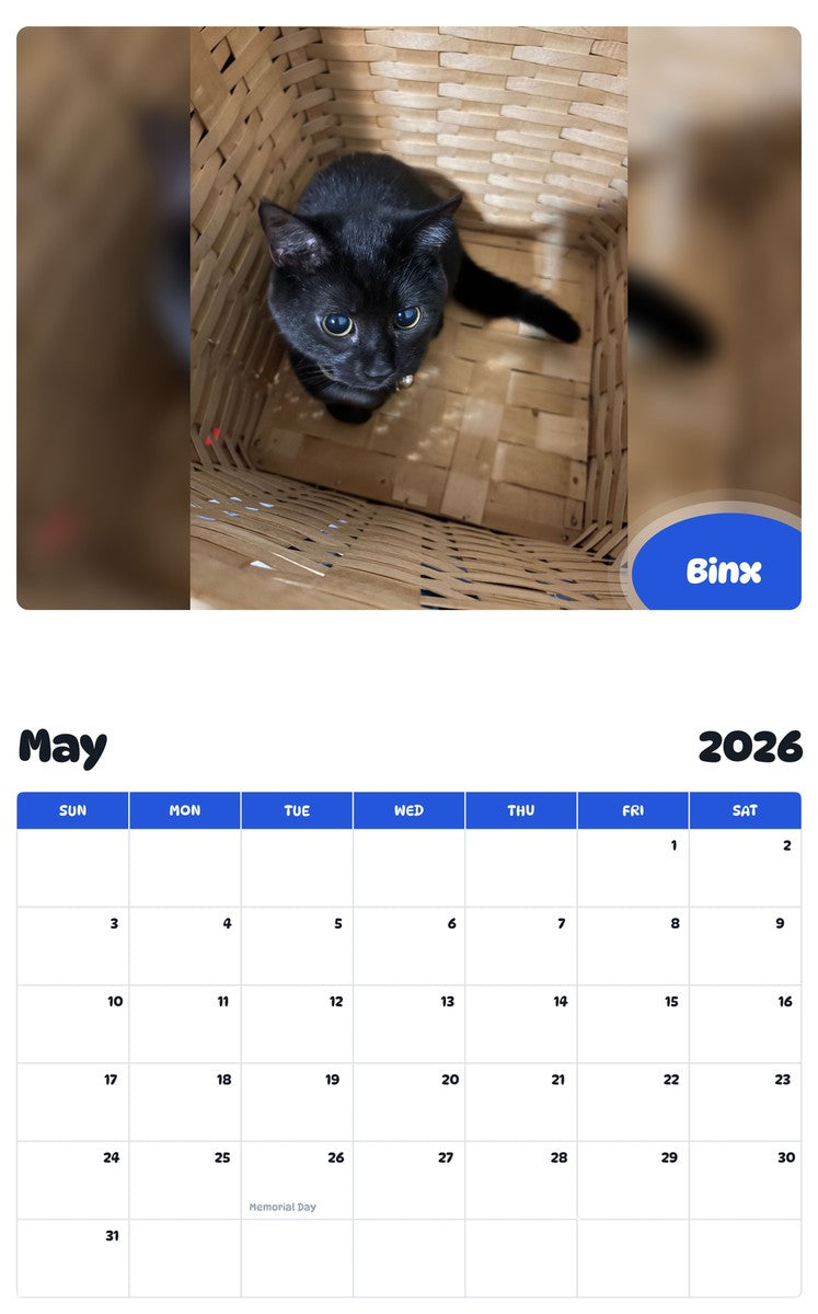2026 - 2027 Binx - Pawidols Pet Calendar