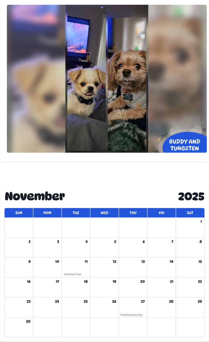 July 2025 - June 2026 Buddy and Tungsten - Pawidols Pet Calendar